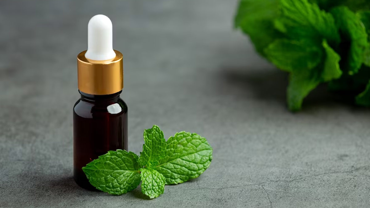 Study Reveals That Peppermint Oil May Reduce Chronic Pain and Help Achieve Quality Sleep